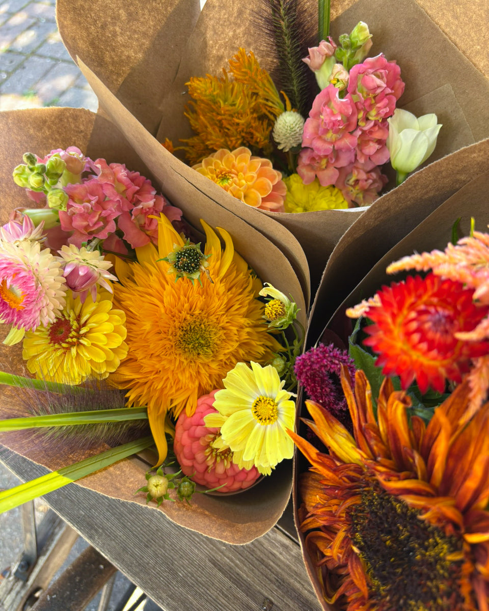 Atelier bouquet lié - Fleurs locales d'automne