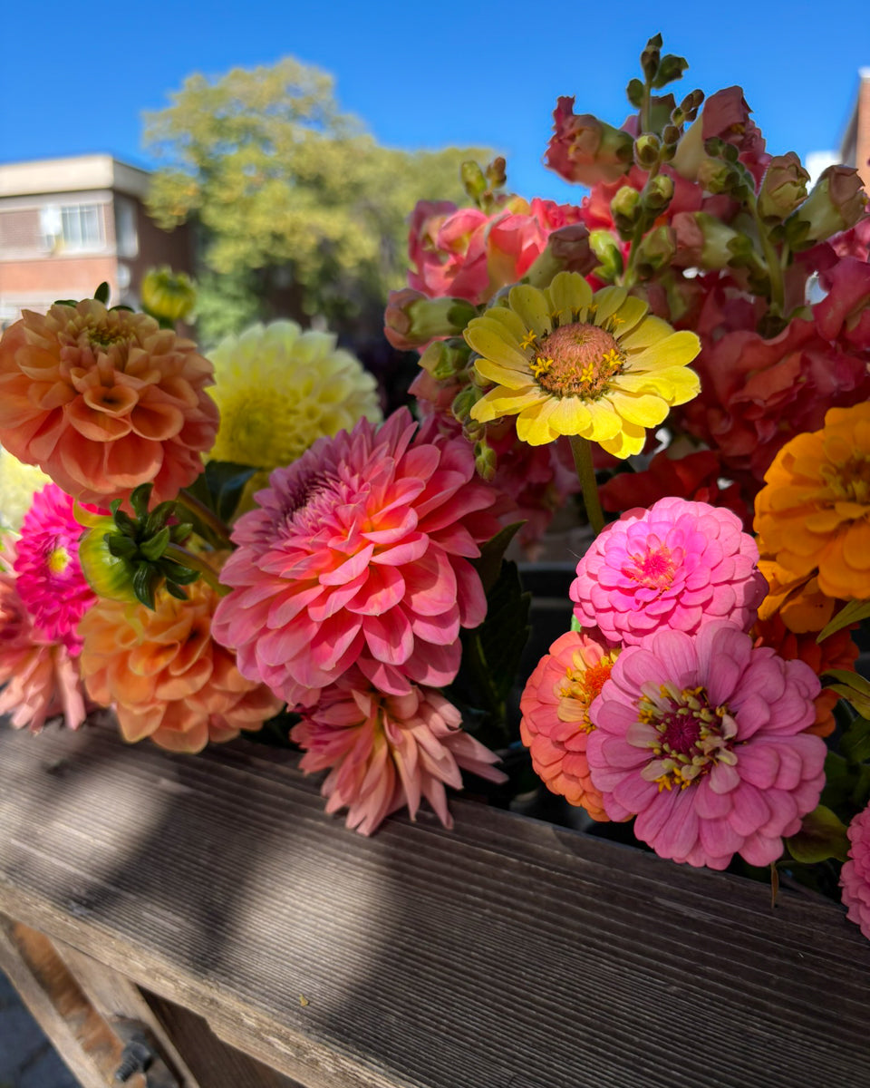 Atelier bouquet lié - Fleurs locales d'automne