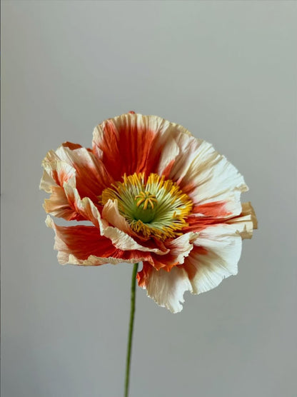 Atelier fleurs en papier - Pavot d'Islande x Atelier Nature Morte